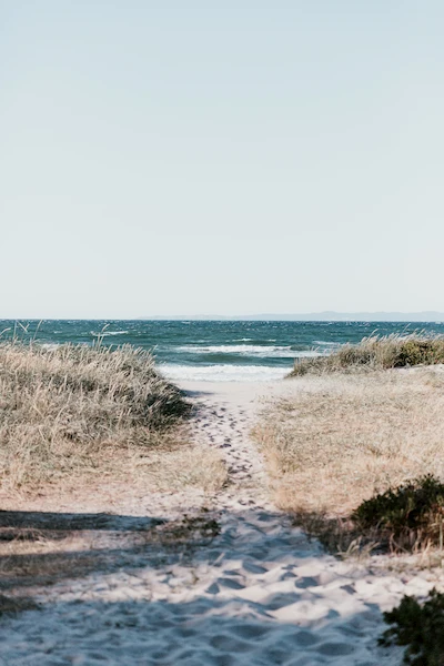 Strand in Dänemark